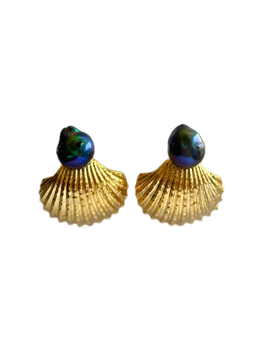 Shell Earrings